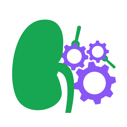 Renal Dose 1.0.3 Icon