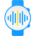 Wear Casts: Wear OS audio app