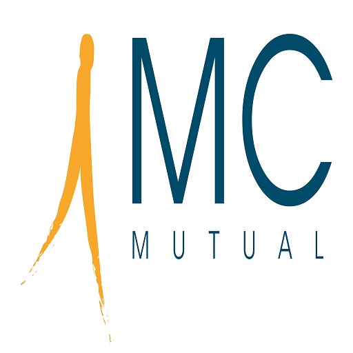 MC MUTUAL Inventario Activos