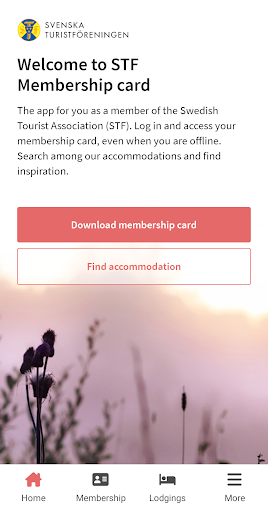 Android application STF screenshort
