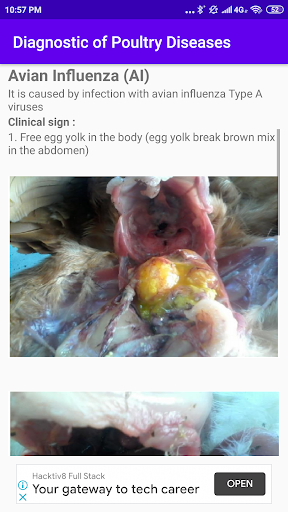 Diagnostic of Poultry Diseases