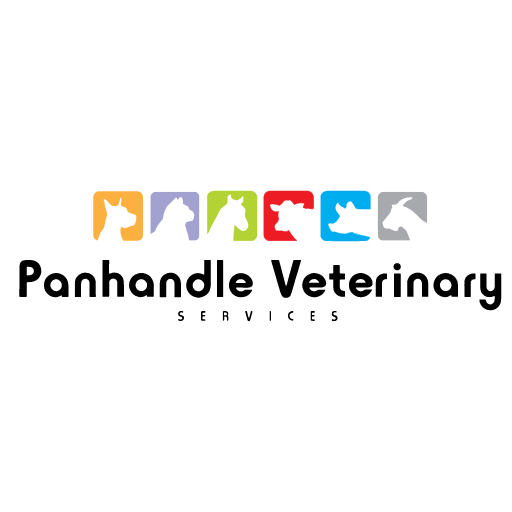 Panhandle Veterinary Services