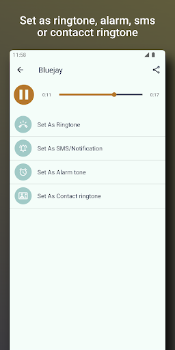 Bird and Animal sounds Screen 3