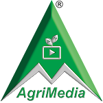 Cover Image of Unduh AgriMedia TV : Pertanian Teknologi Tinggi 3.3.0 APK