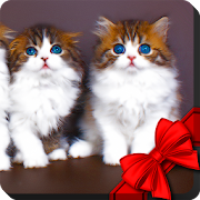 Top 30 Personalization Apps Like Kittens Live Wallpaper - Best Alternatives