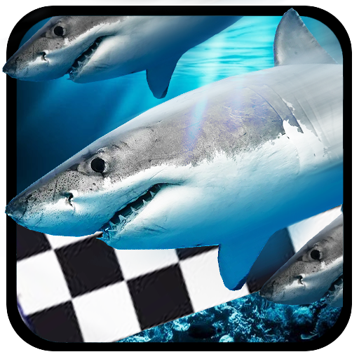 Fish Race logo