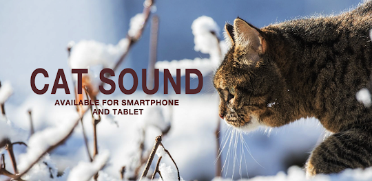 Cat Sound - Meow