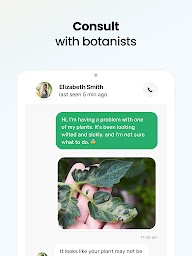 Plant App - Plant Identifier