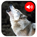 Cover Image of Descargar Wolf Sounds 1.0.0 APK