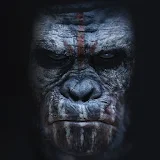 Planet of the Apes Wallpapers icon