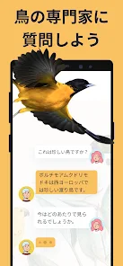 Picture Bird 撮ったら 判る 1秒鳥図鑑 Google Play のアプリ