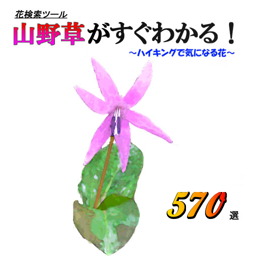 山野草がすぐわかる logo