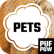 PUFnPOW Pets - What pet should I get?