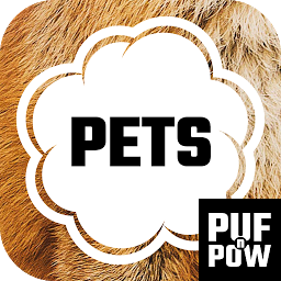 รูปไอคอน Pets - What pet should I get?