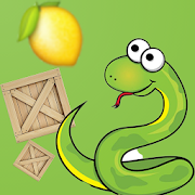 Snake vs Box  Icon