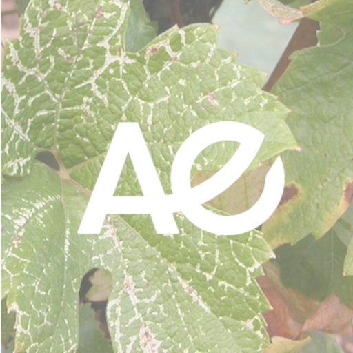 Vigi-Alsace logo