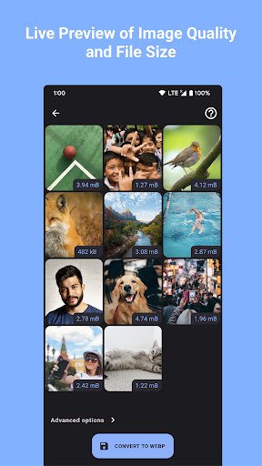 WEBP Converter - Image to WEBP Screen 2