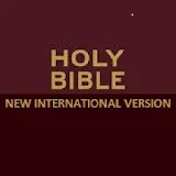 Bible NIV icon