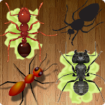 Ant Smasher Free Apk