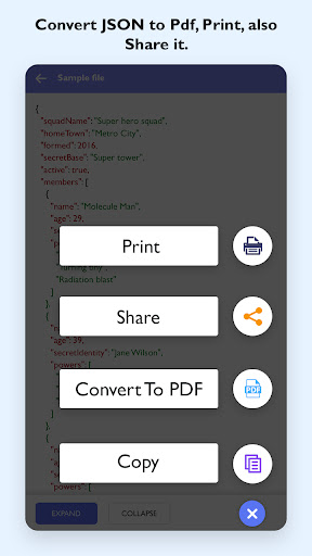 JSON Viewer and Beautifier Screen 3