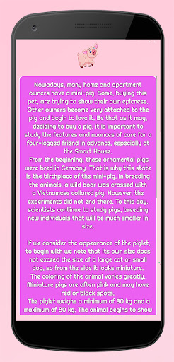 Caring for the minipig Screen 3