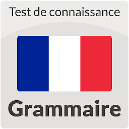 Icon image Test and Questionnaire in Grammar