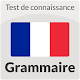 Test in Grammar - French