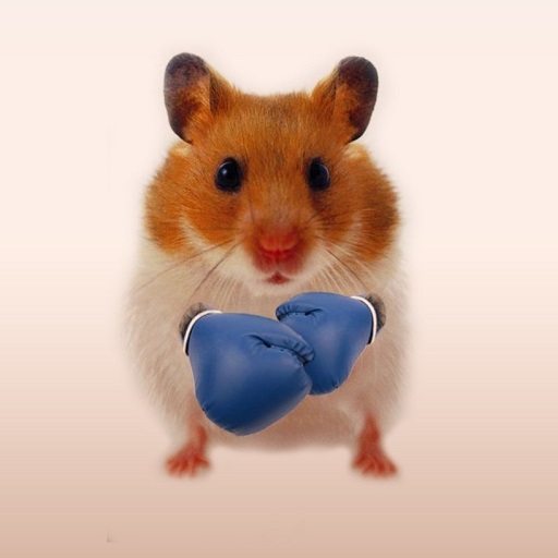 Hamster Wallpapers logo