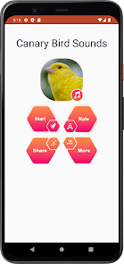 Screenshot 2 sonidos de canarios android