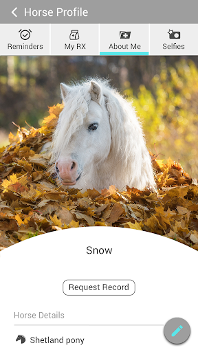 Equine Medicine and Surgery