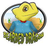 bearded dragon icon