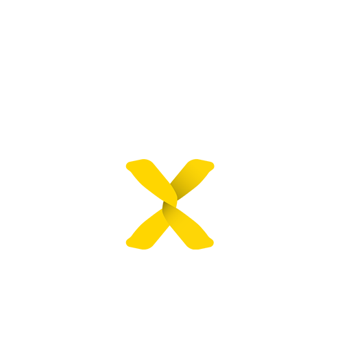 Learn Play Nexus logo