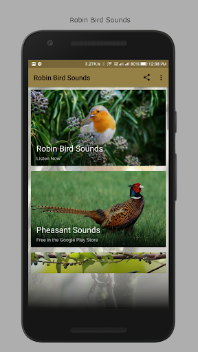 Android application Robin Bird Sounds screenshort