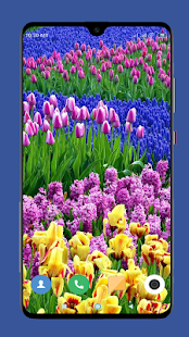 Beautiful Spring Wallpaper  4K 1.12 screenshots 3