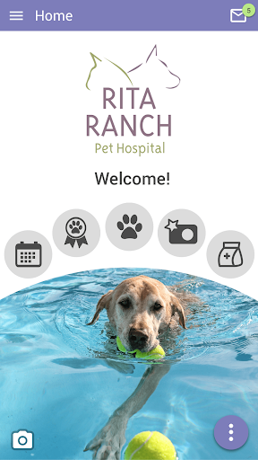 Android application Rita Ranch Pets screenshort