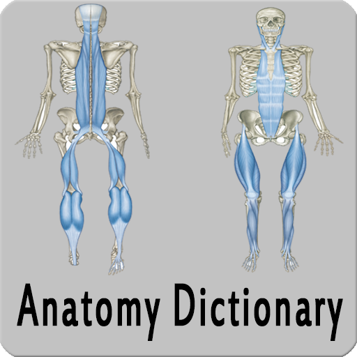Anatomy Dictionary  Icon