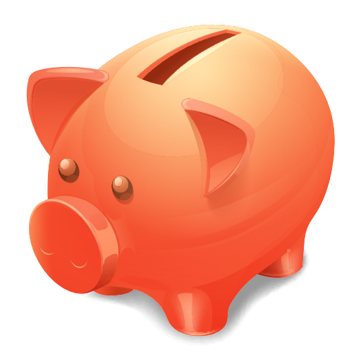 The budget logo