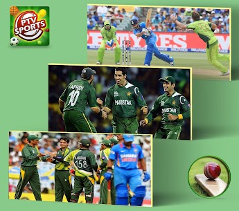 PTV Sports v1.2 APK Download [All Sports Live] 2022 3