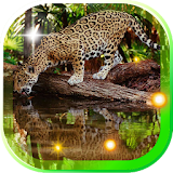 Leopards Collection LWP icon