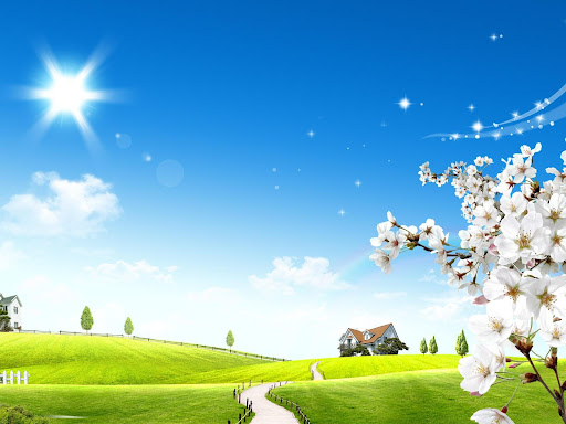 Summer Wallpapers Screen 3