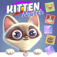 KİTTEN MATCH23