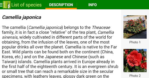 Giardino Villino Volterra