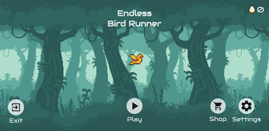 Endless Bird Runner