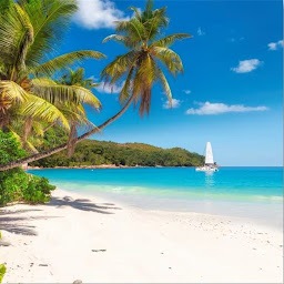 Icon image Giamaica: Contee e spiagge