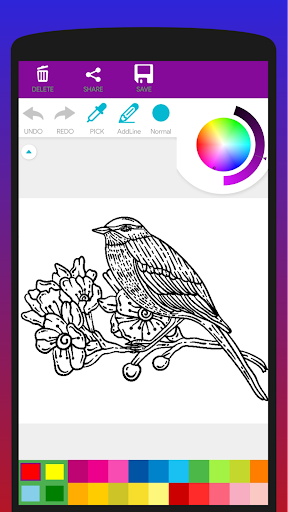 Colorful Birds Coloring Book Screen 3