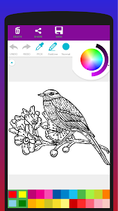 Colorful Birds Coloring Book
