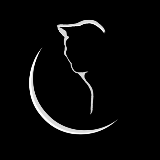 Black Cat Martial Arts logo