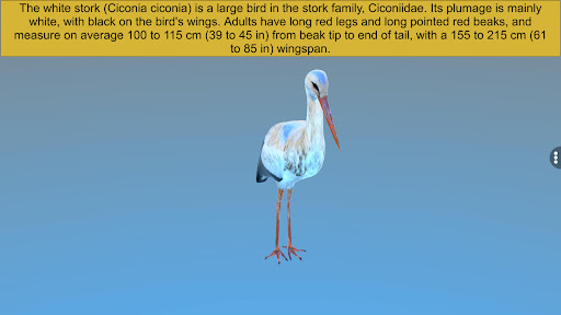 Diversity in Living: Aves Screen 2