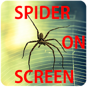 Spider On Screen Prank