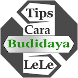 Cara Budidaya Lele icon